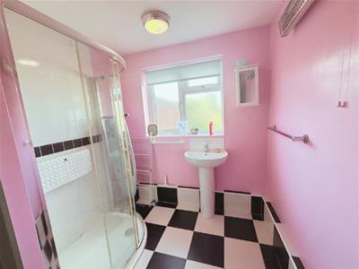 Picture 15